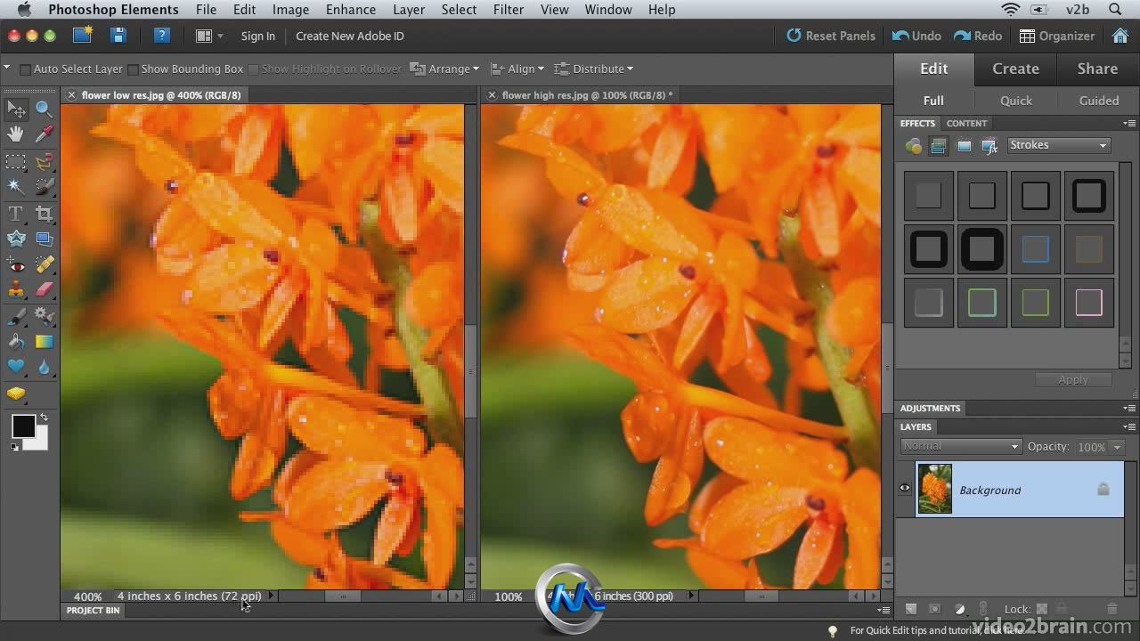 Photoshop Elements 9图像特效合成视频教程 video2brain Combining Images with Ph...