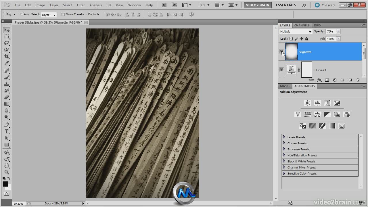 Photoshop黑白配色训练视频教程 video2brain Photoshop Black-and-White Workshop ...