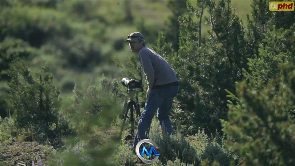 单反拍摄高清自然环境影片视频教程 fxphd DOP211 DSLR Cinematography Nature