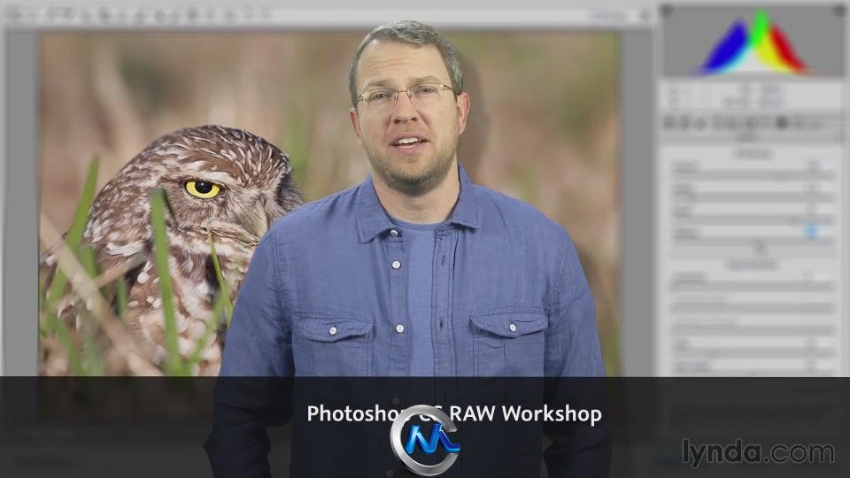 Photoshop CC高品质图像制作视频教程 Lynda.com Photoshop CC Raw Workshop