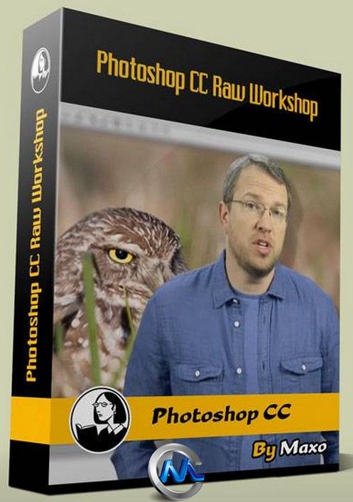 Photoshop CC高品质图像制作视频教程 Lynda.com Photoshop CC Raw Workshop