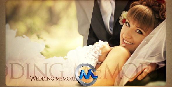 videohive Wedding Album