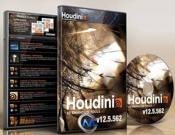 Houdini电影特效制作软件V12.5.562版