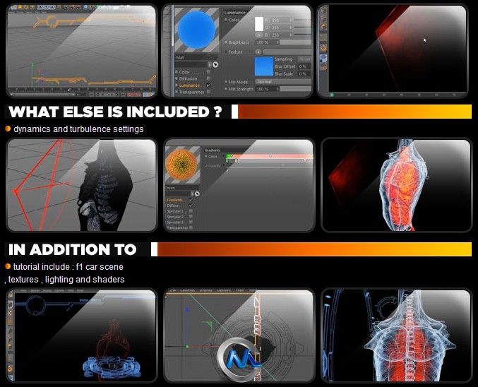 C4D人体三维透视视频教程