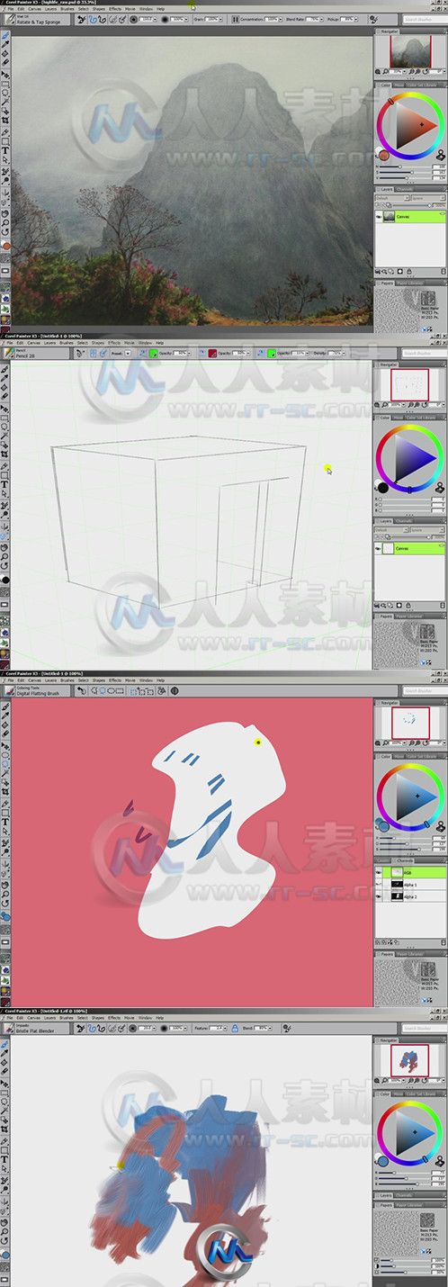 Painter X3综合训练视频教程