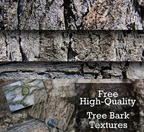 40个树皮高清纹理贴图合辑 Tree Bark Textures 40 Set 1 and 2