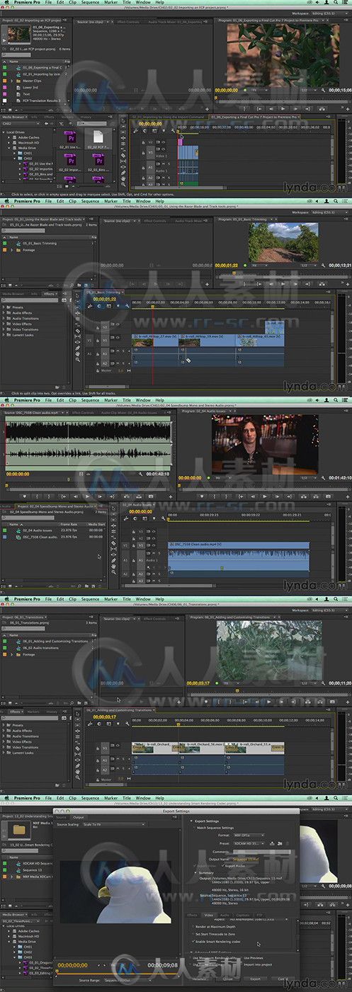从FCPX到PRCC剪辑工作流程训练视频教程 Lynda Migrating from Final Cut Pro 7 to ...
