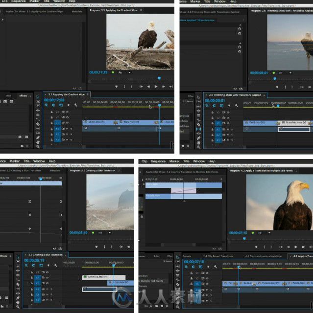 Premiere转场特效剪辑技巧视频教程 Lynda Premiere Pro Guru Better Transitions