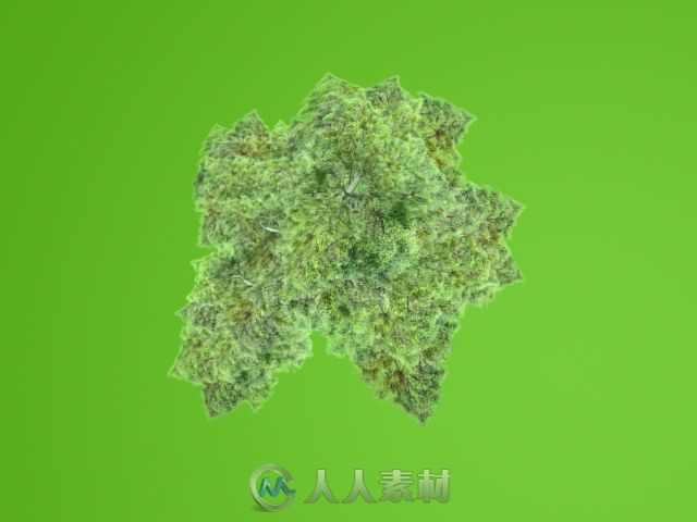 完美世界游戏模型-带贴图-积羽城