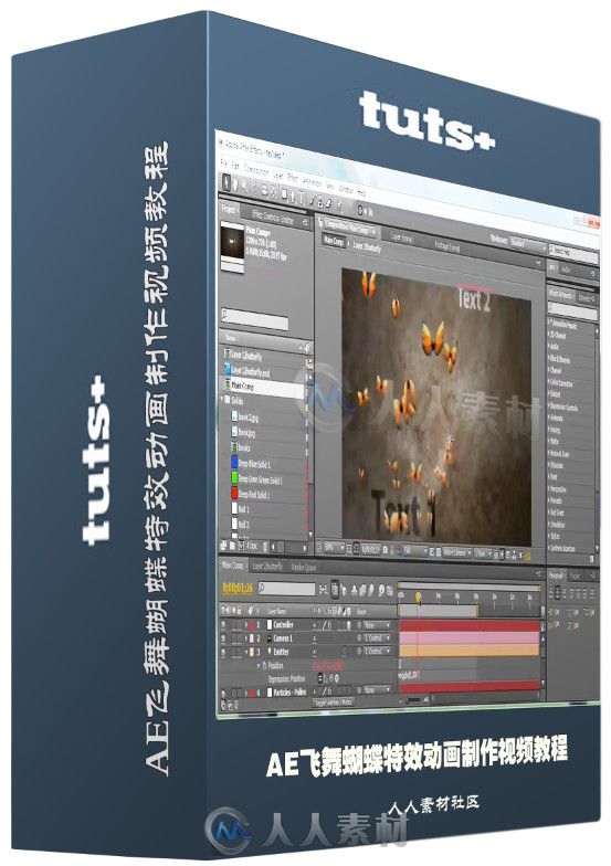 AE飞舞蝴蝶特效动画制作视频教程 Tutsplus Create An Astonishing Butterfly Anima...