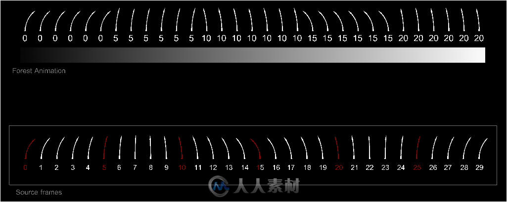 森林插件Itoo Forest Pack动画技术视频教程（国外高清版）