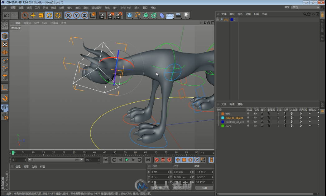 C4D狗狗 绑定中文教程