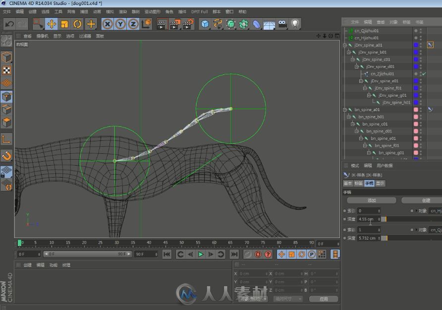 C4D狗狗 绑定中文教程