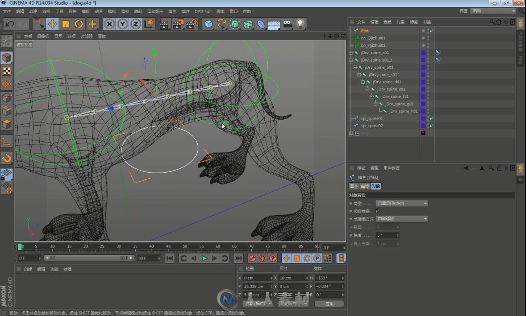 C4D狗狗 绑定中文教程