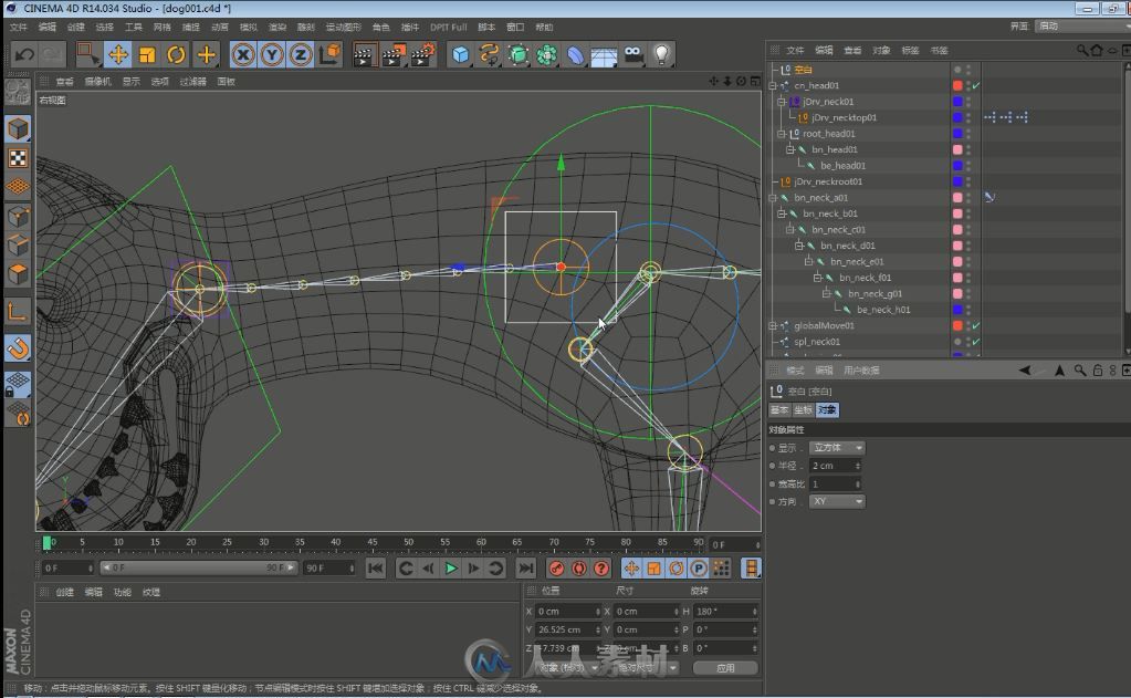 C4D狗狗 绑定中文教程