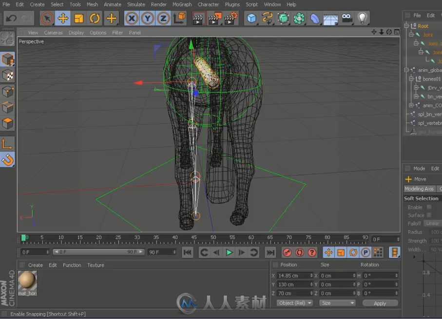 C4D马骨骼绑定加动画视频教程