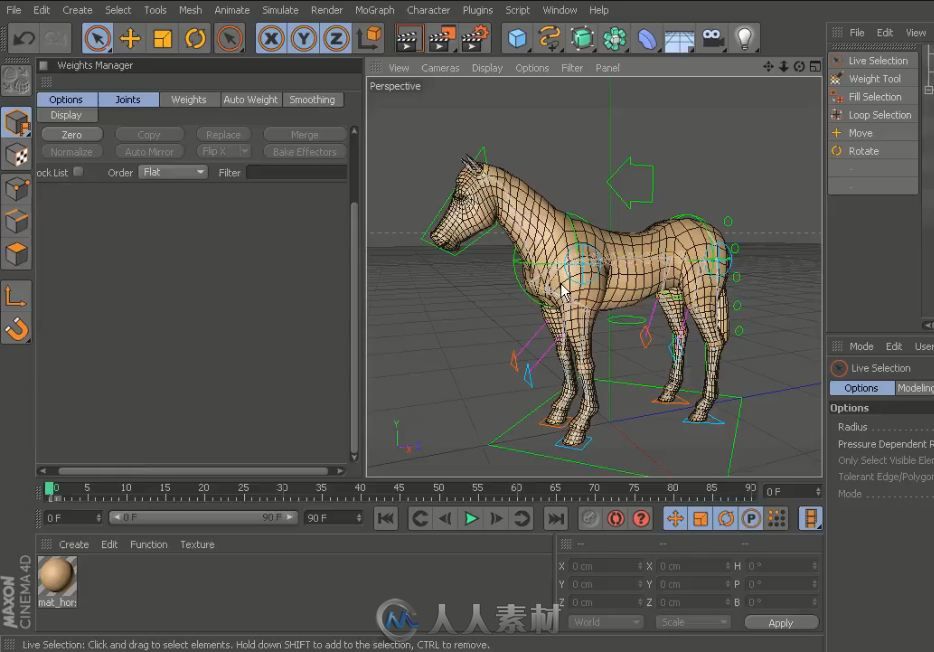 C4D马骨骼绑定加动画视频教程