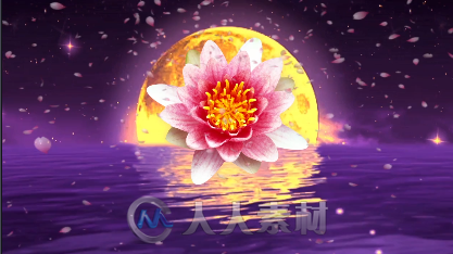 金色月亮海上升明月桃花梅花开放中秋节晚会LED背景视频素材