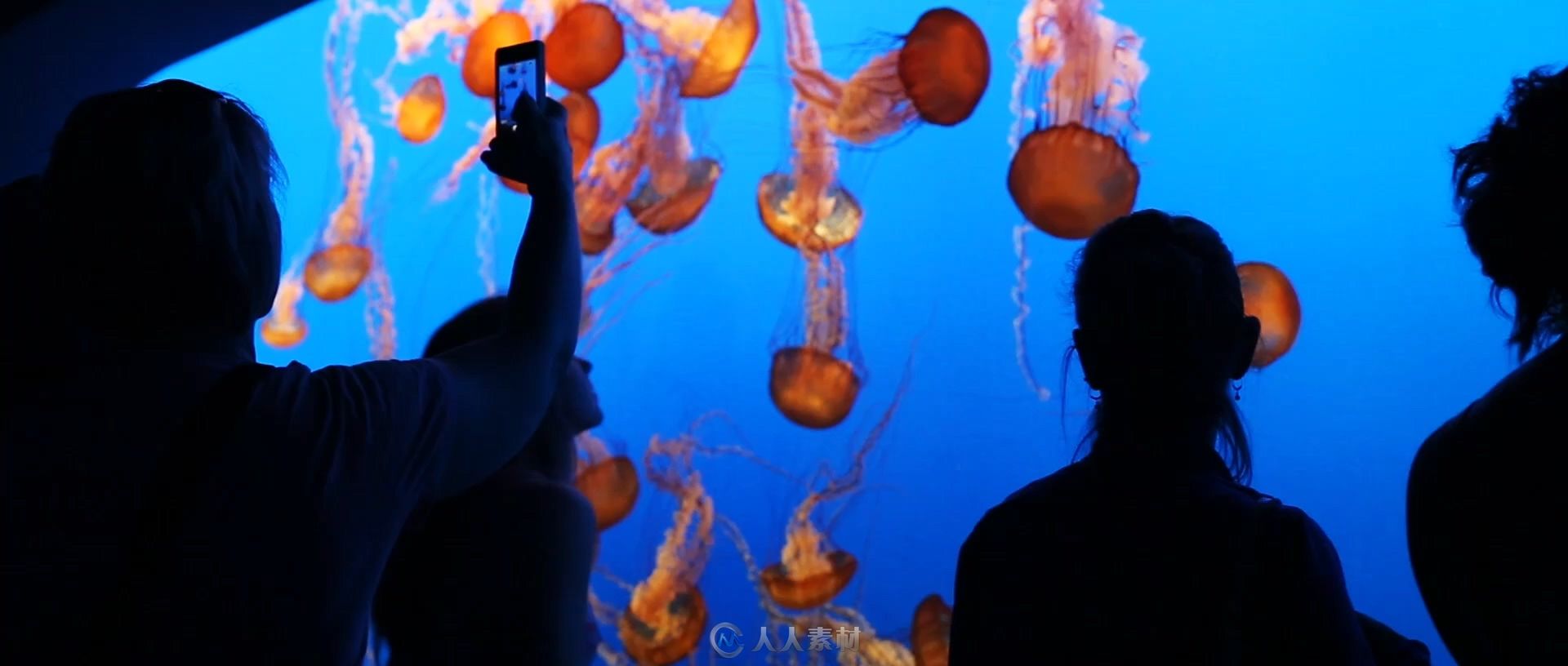 水族馆各种鱼特写嬉戏情侣相拥实拍视频素材