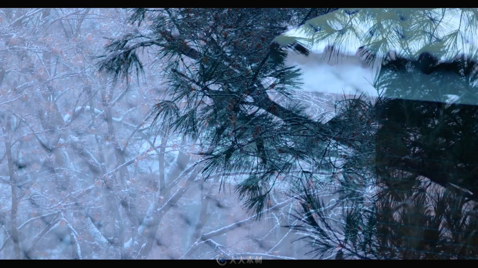 下雪天飘漂飘洒洒树枝屋顶积雪视频素材