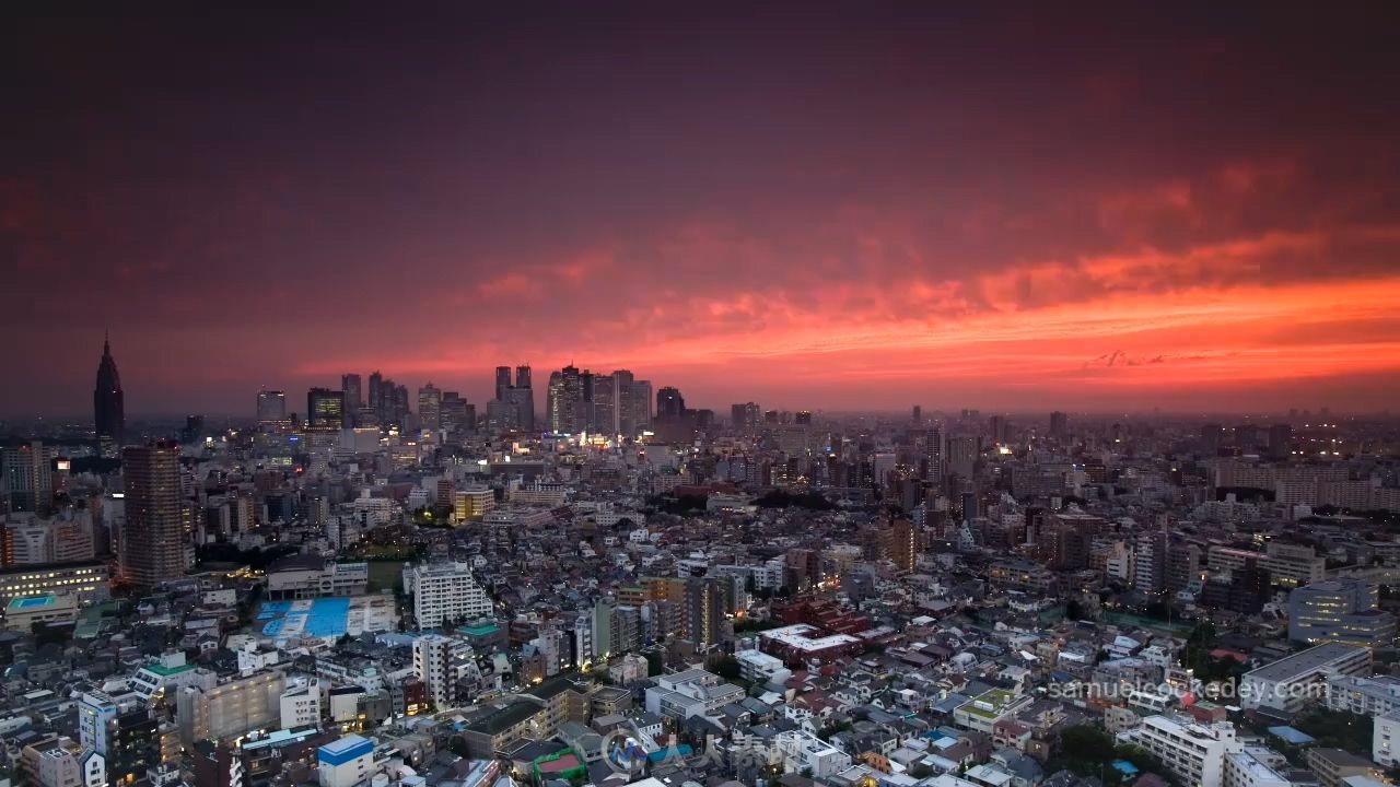 延时摄影东京新宿的夜景高清实拍视频素材