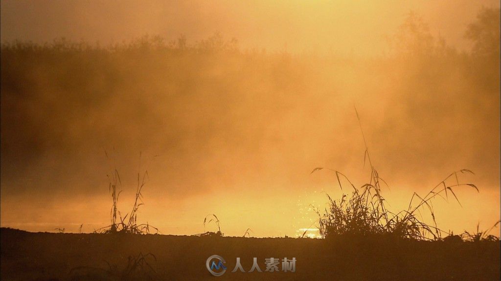 清晨湖面雾气高清实拍视频素材