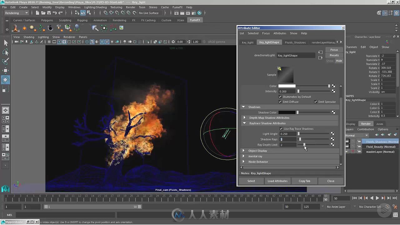 Maya树木燃烧流体与粒子特效视频教程 PLURALSIGHT SIMULATING A BURNING TREE IN MAYA