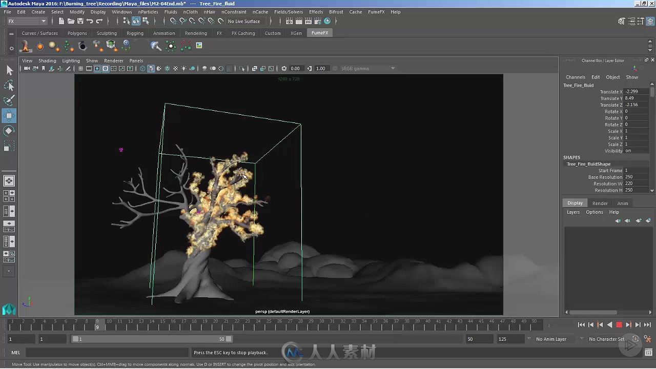 Maya树木燃烧流体与粒子特效视频教程 PLURALSIGHT SIMULATING A BURNING TREE IN MAYA