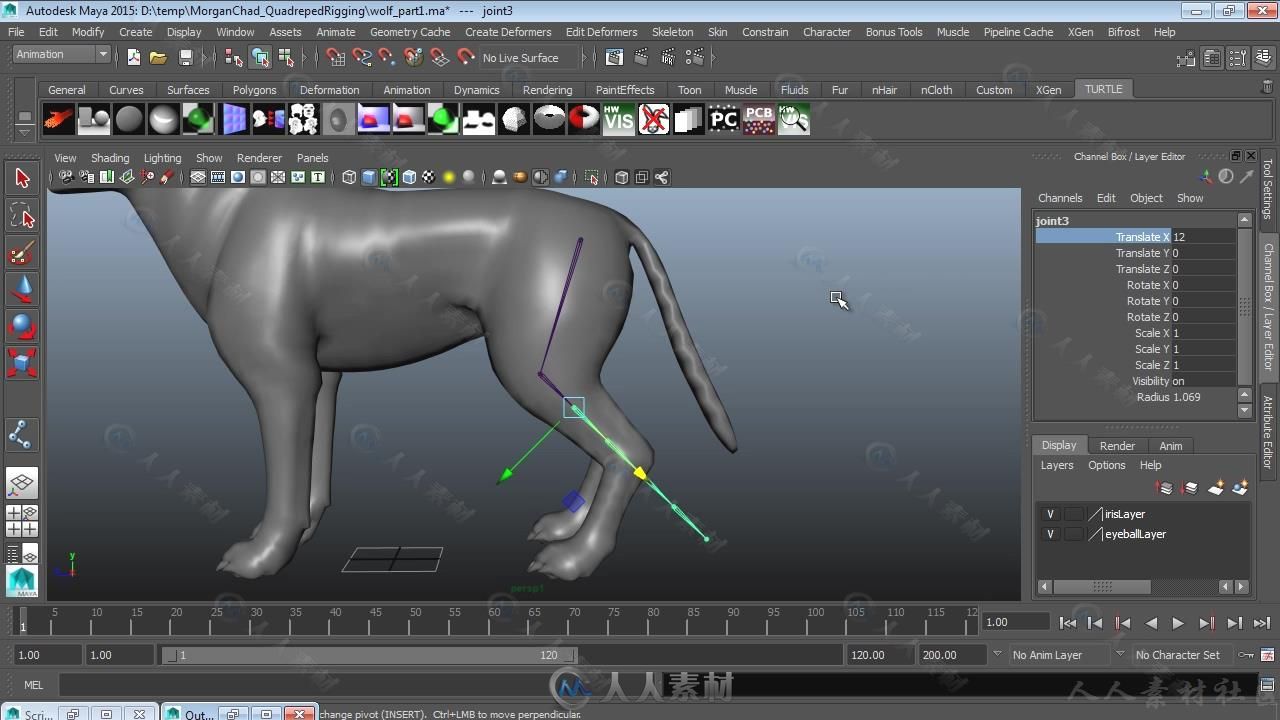 Maya四足动画骨骼动画视频教程二，三，四季 3DMOTIVE QUADRUPED RIGGING IN MAYA V...