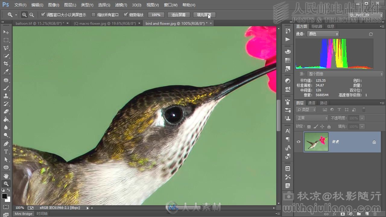 Photoshop CC数码摄影后期处理完全自学手册