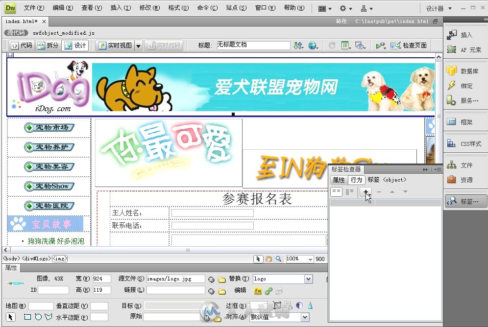 Dreamweaver CS5中文版标准实例教程