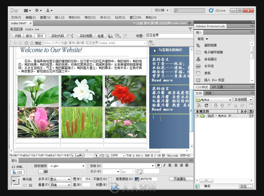 Dreamweaver CS5中文版基础教程