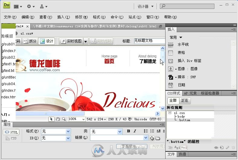 中文版Dreamweaver CS4实例与操作