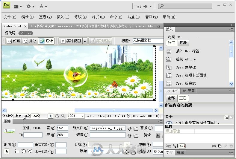 中文版Dreamweaver CS4实例与操作