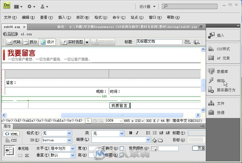 中文版Dreamweaver CS4实例与操作