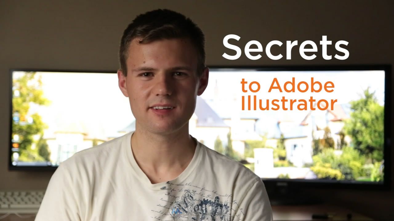 AI他们不曾教你的秘密工具技术训练视频教程ADOBE ILLUSTRATOR SECRETS TOOLS THEY ...