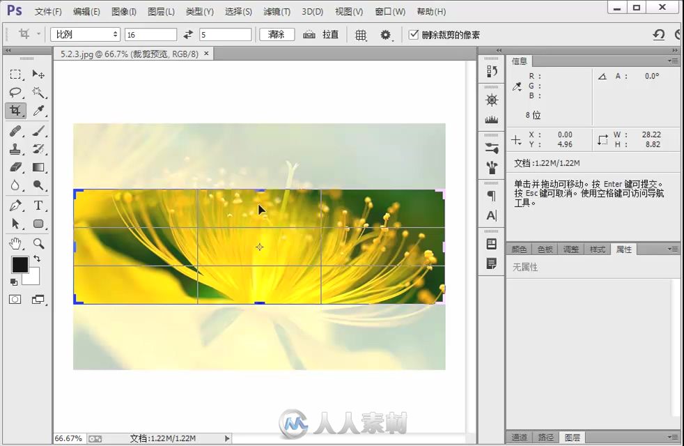 中文版Photoshop CC完全自学手册