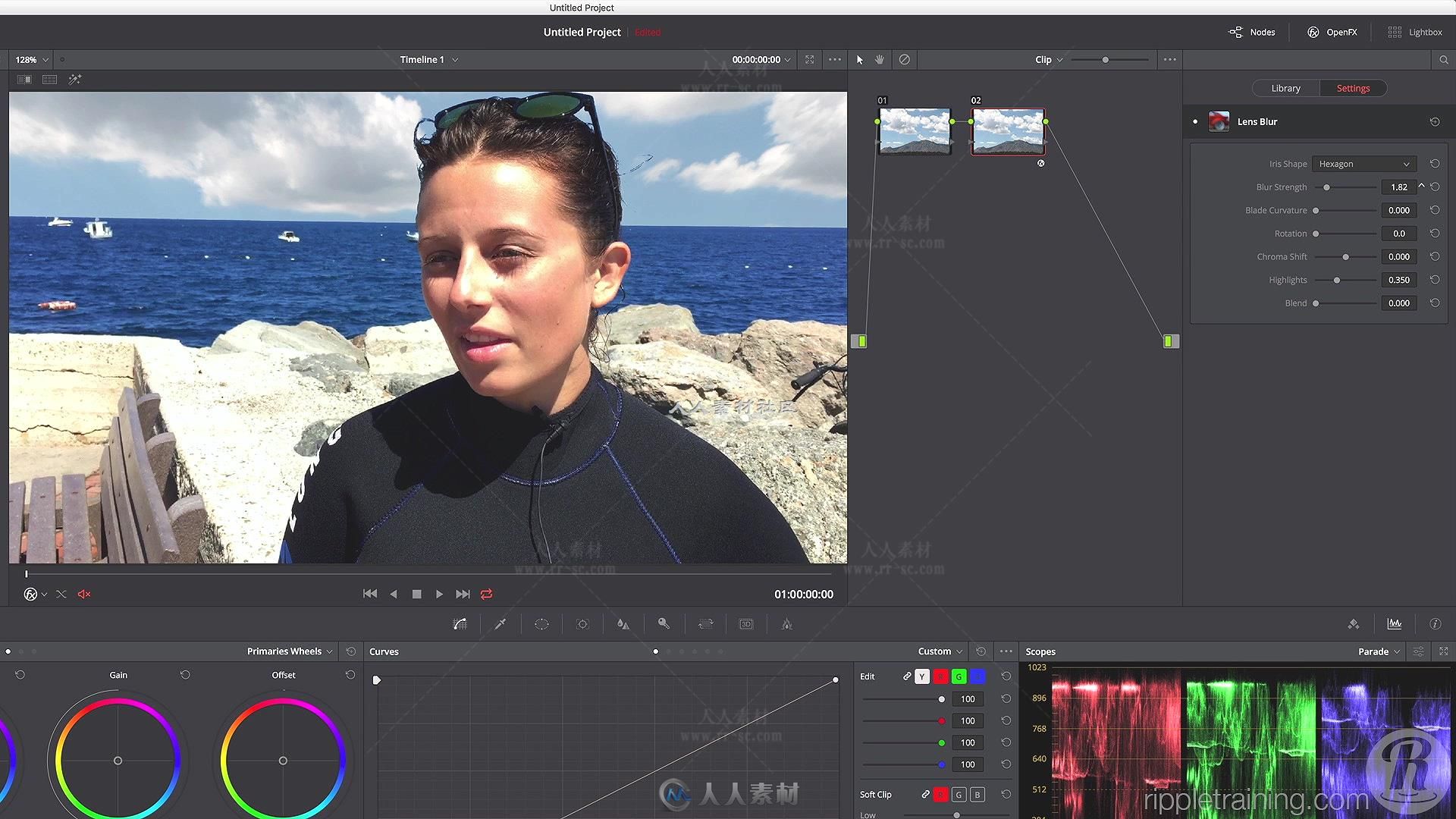 达芬奇DaVinci Resolve V12.5融合视觉特效视频教程 Ripple Training Compositing i...