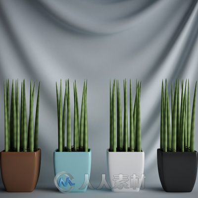 20个高精植物3D模型