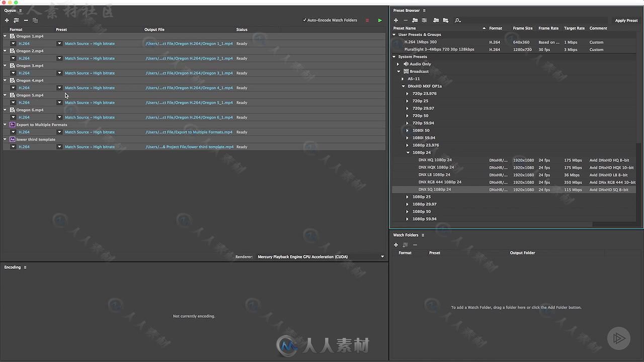 Premiere与MediaEncoder视频编码器压缩输出技术视频教程 Pluralsight Mastering Co...