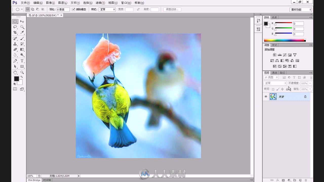 Photoshop CC 修图从入门到精通