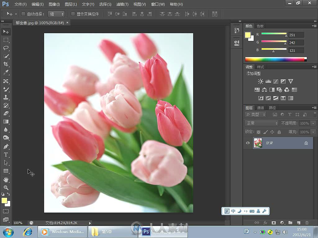 中文版PhotoshopCS6图像处理与设计