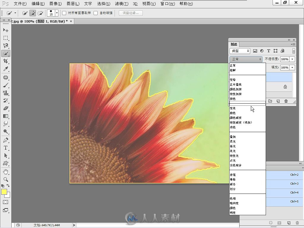 Photoshop CS6图像处理入门与实战