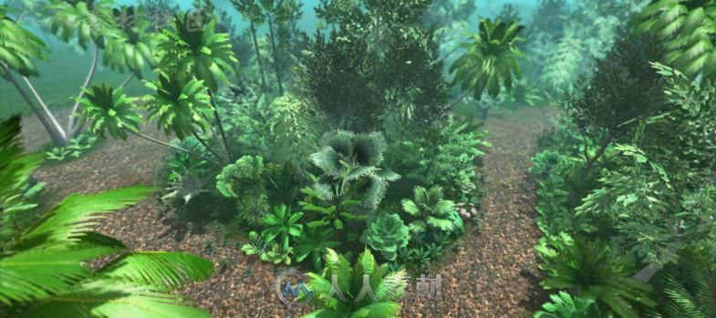 天然丛林植物Unity3D资源素材