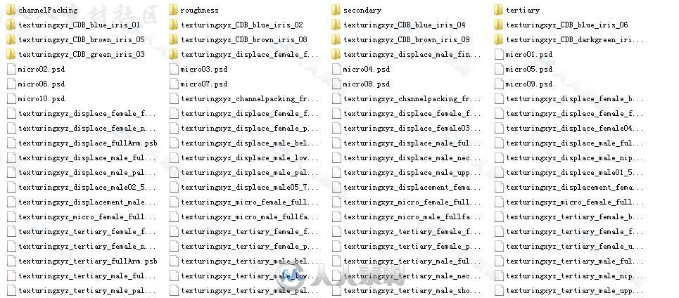 Texturing出品人物角色皮肤纹理贴图合辑 TEXTURINGXYZ DISPLACEMENTS