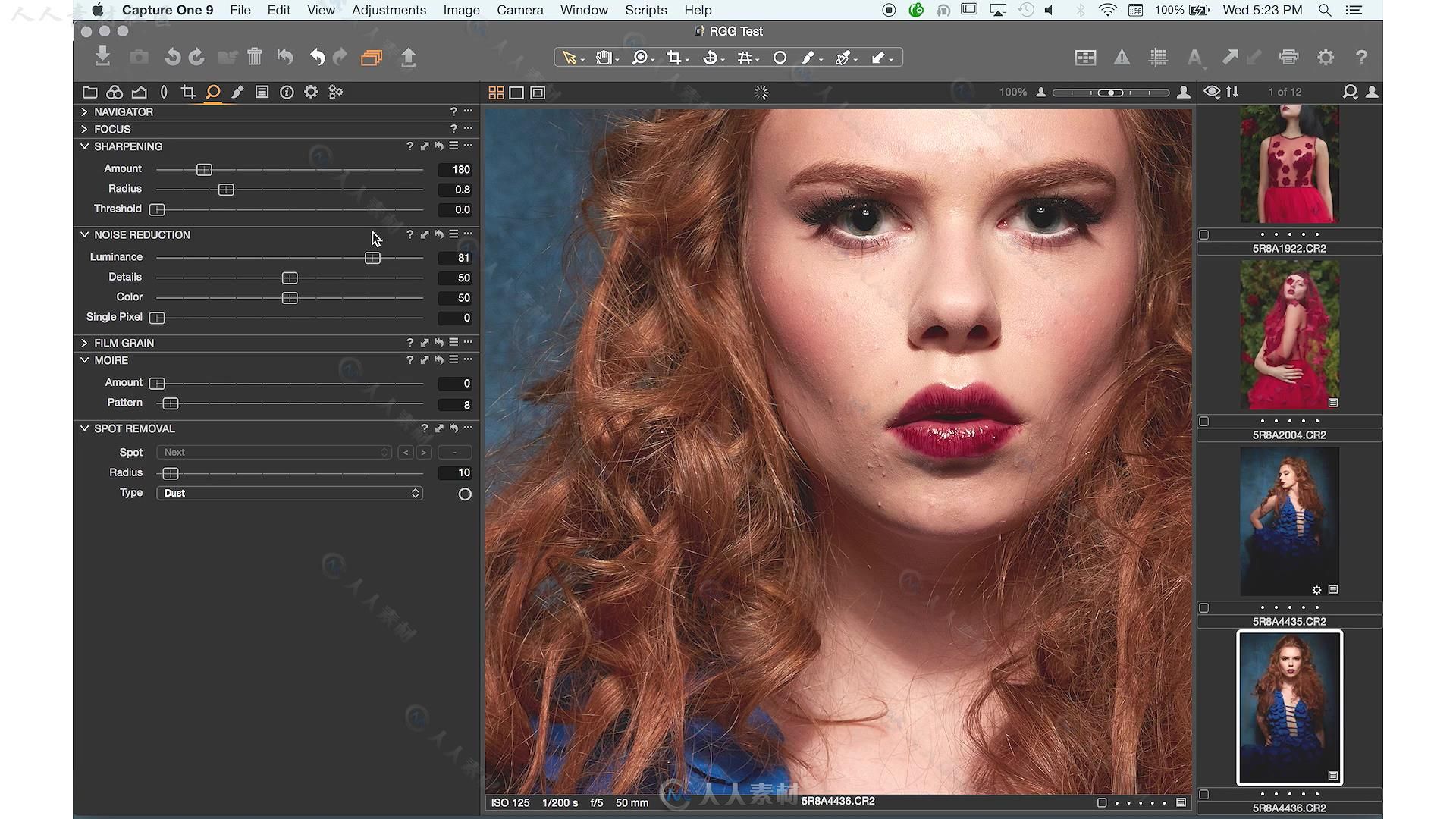 One Pro 9摄影师图像处理技术视频教程 RGGEDU CAPTURE ONE PRO 9 TUTORIAL FOR PHO...