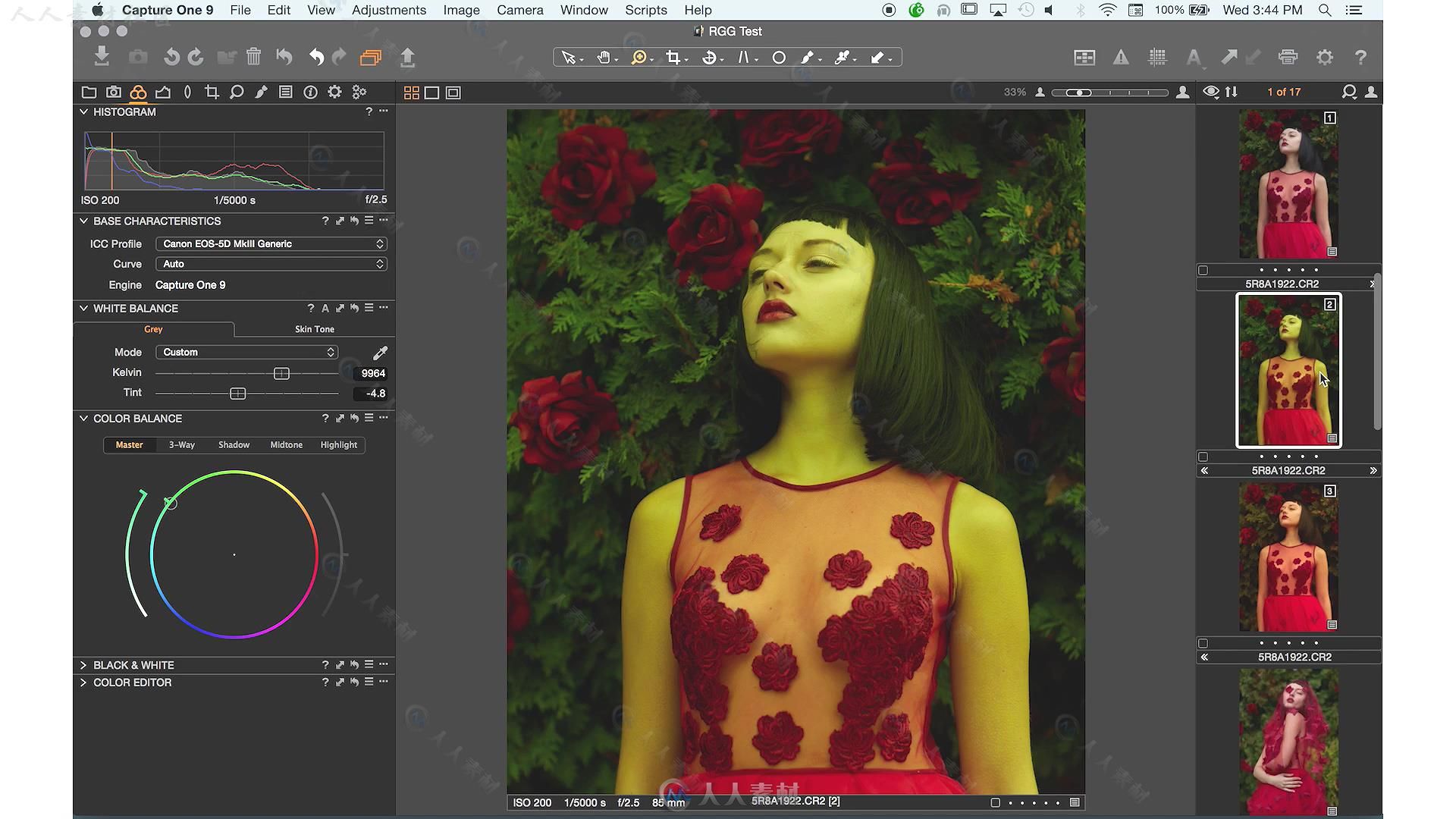 One Pro 9摄影师图像处理技术视频教程 RGGEDU CAPTURE ONE PRO 9 TUTORIAL FOR PHO...