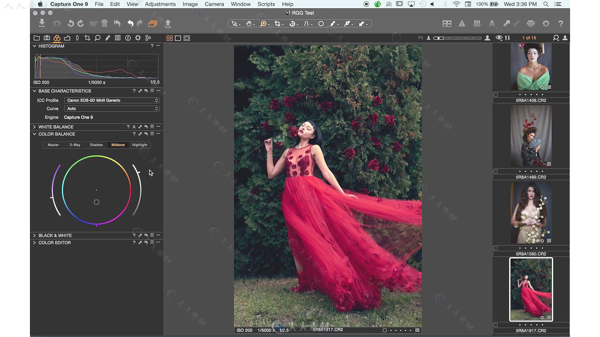 One Pro 9摄影师图像处理技术视频教程 RGGEDU CAPTURE ONE PRO 9 TUTORIAL FOR PHO...