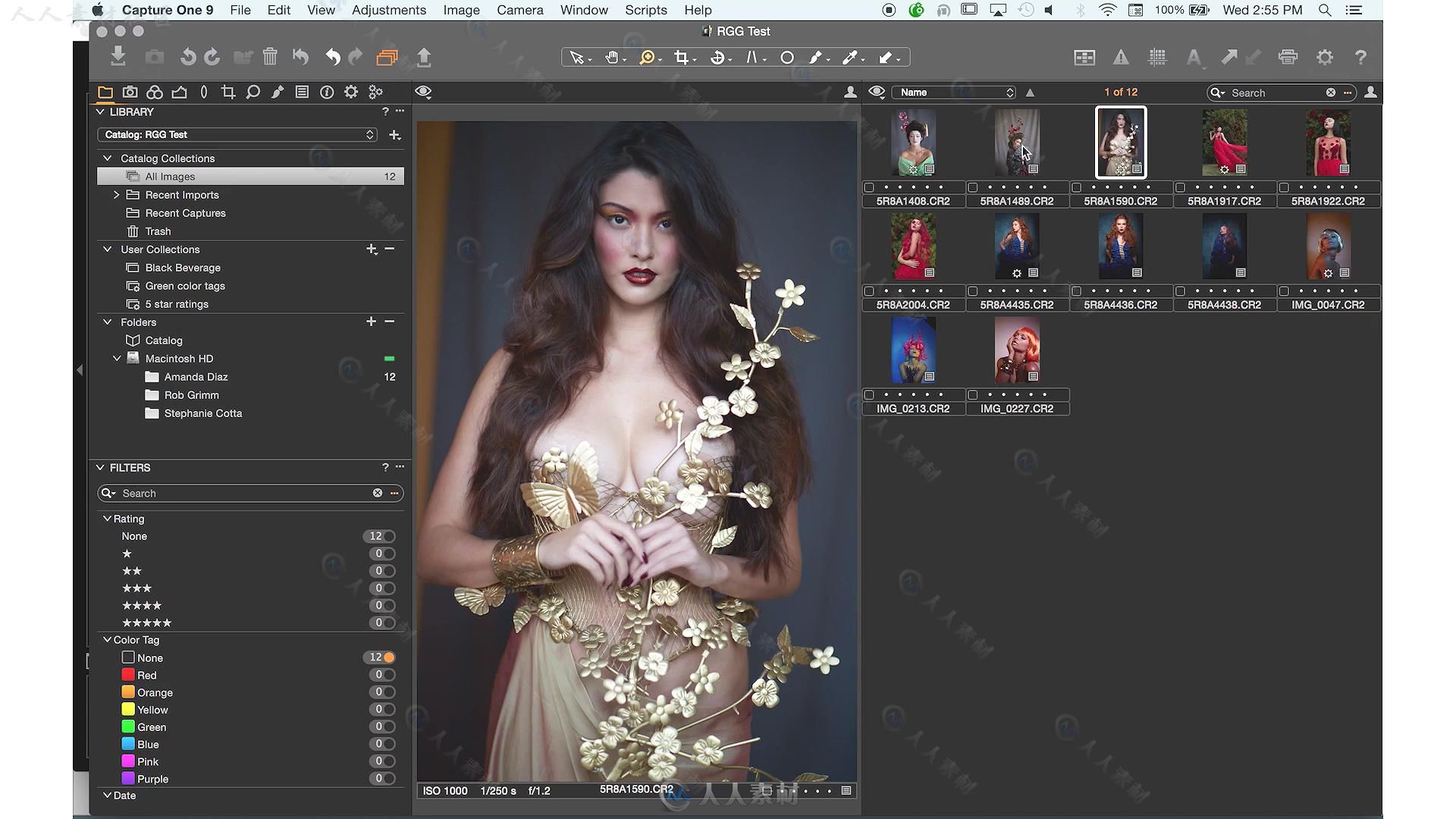 One Pro 9摄影师图像处理技术视频教程 RGGEDU CAPTURE ONE PRO 9 TUTORIAL FOR PHO...