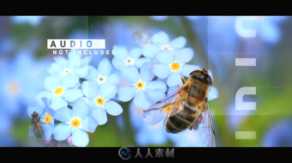 现代优雅格子组合照片相册动画AE模板 Videohive Modern Elegant Opener 17899...